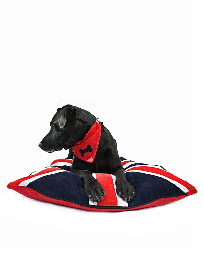 Union Jack Dog Bed With A Labrador