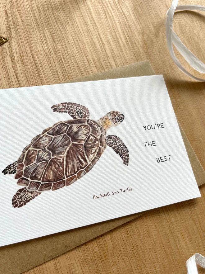 a greetings card featuring an illustration of a sea turtle with the text “You’re The Best”