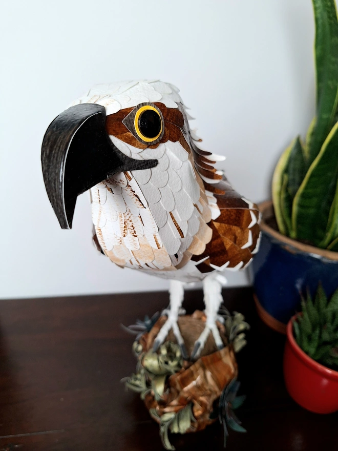 Beak close up of an osprey sculpture 