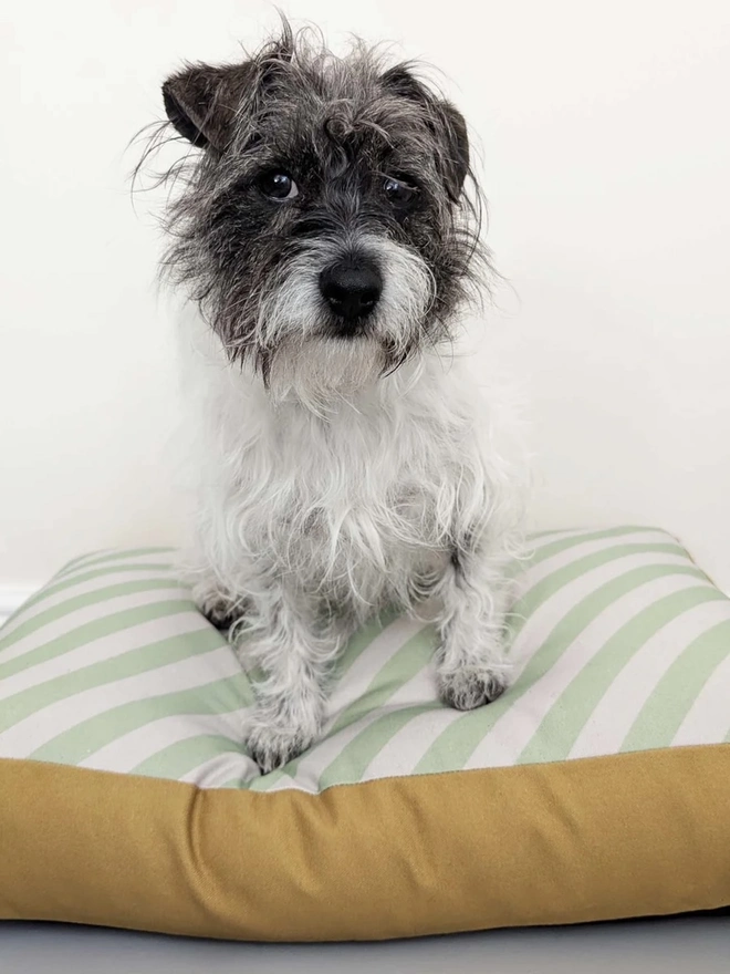  Printed Cotton Patterned Dog Bed, a dog sitting on a patterned dog bed on a tiled floor in front of a white wall. 