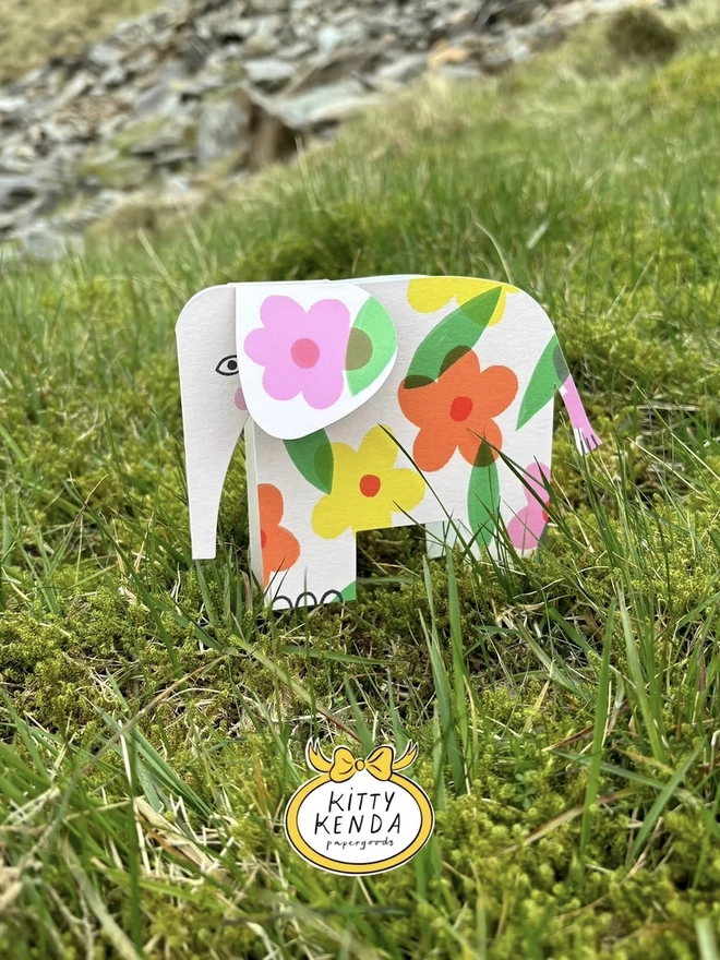 Elephant Card 5 Designs