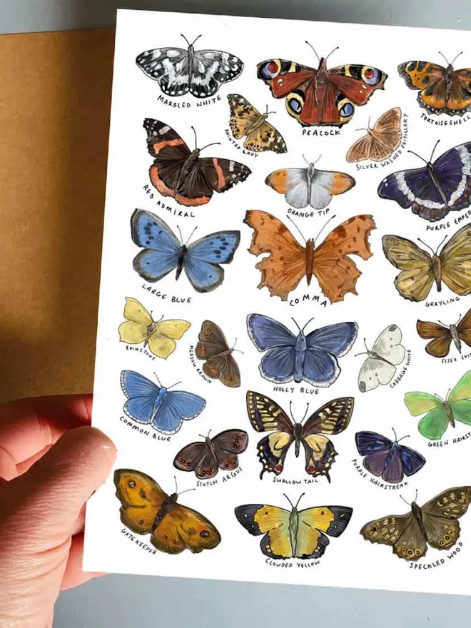 Animal Temporary Tattoos, a "Butterfly" booklet sits next to a sheet of colourful ocean animal temporary tattoos.