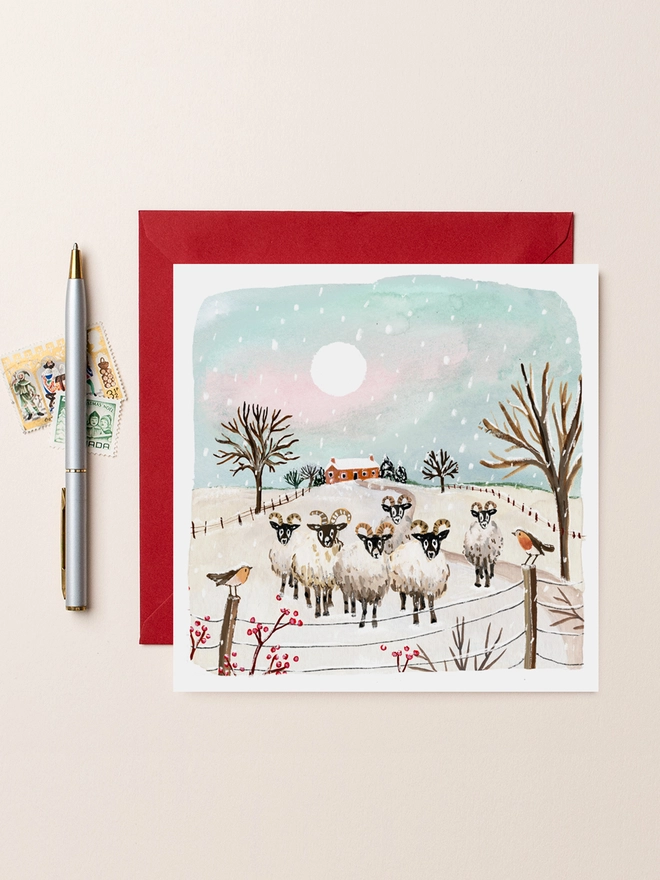 Sheep and Robins Blank Christmas Card