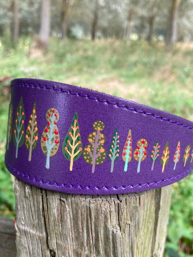 purple painted leather dog collar