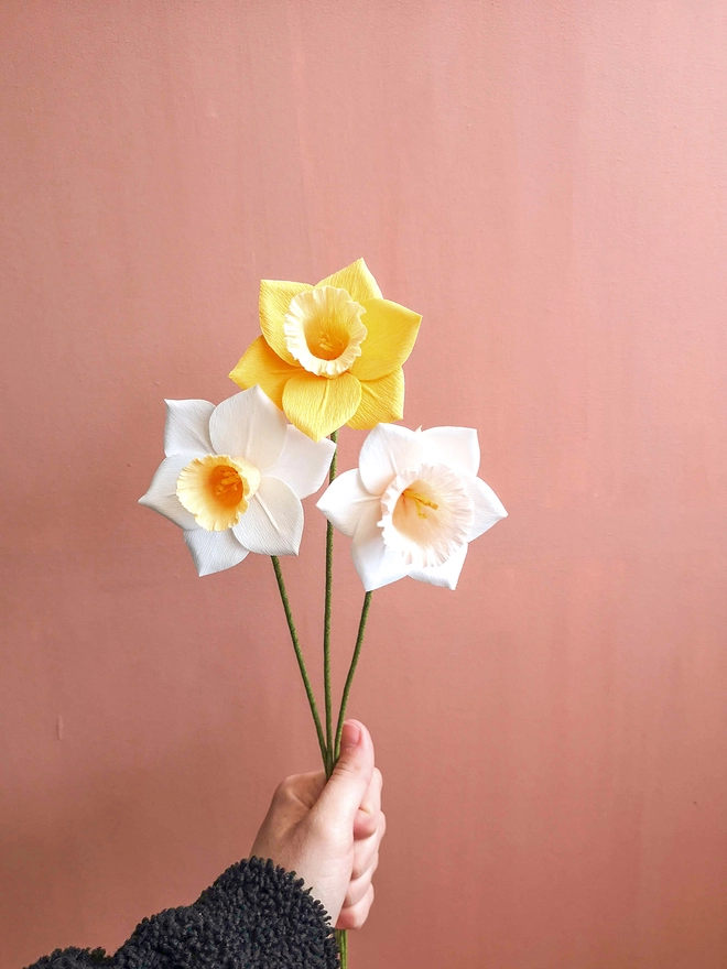 Crepe Paper Daffodils