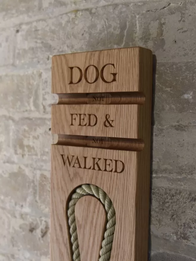 Dog Walking Feeding Lead Beacon