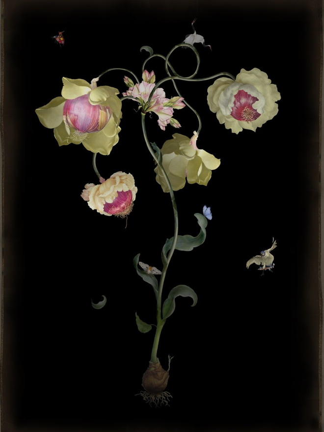 Traveller's tears flower print