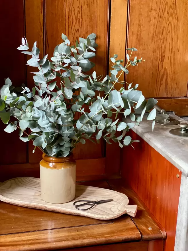 Freshly Cut Eucalyptus Cinerea sits in a vintage brown ceramic vase. The vase sits on a light oak board with a pair of small vintage scissors alongside. The scene is set in a wooden panelled bathroom with a grey marbled bathtub in the background.