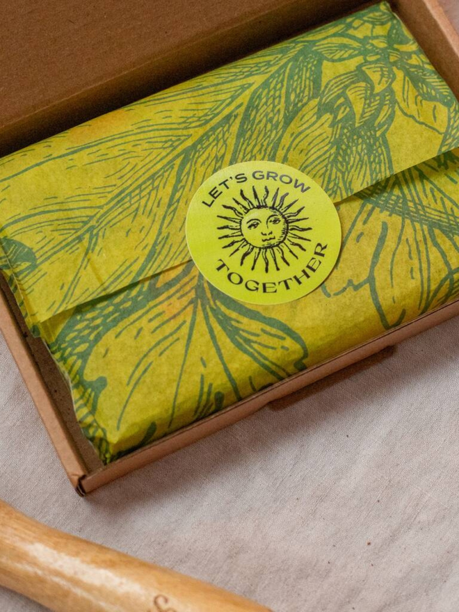 the herb garden seed collection. packaging for seed packets decorated with illustrated green leaf outlines. box photographed on counter.