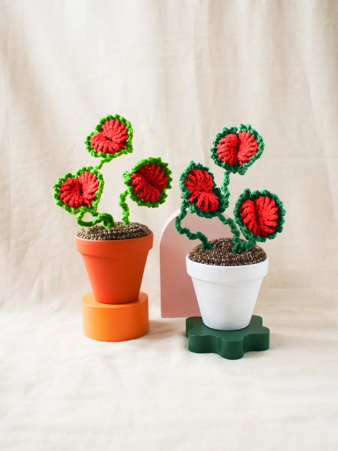 crochet Venus Flytrap in terracotta pot
