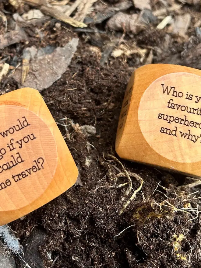 Dice showing 2 questions on a forest floor