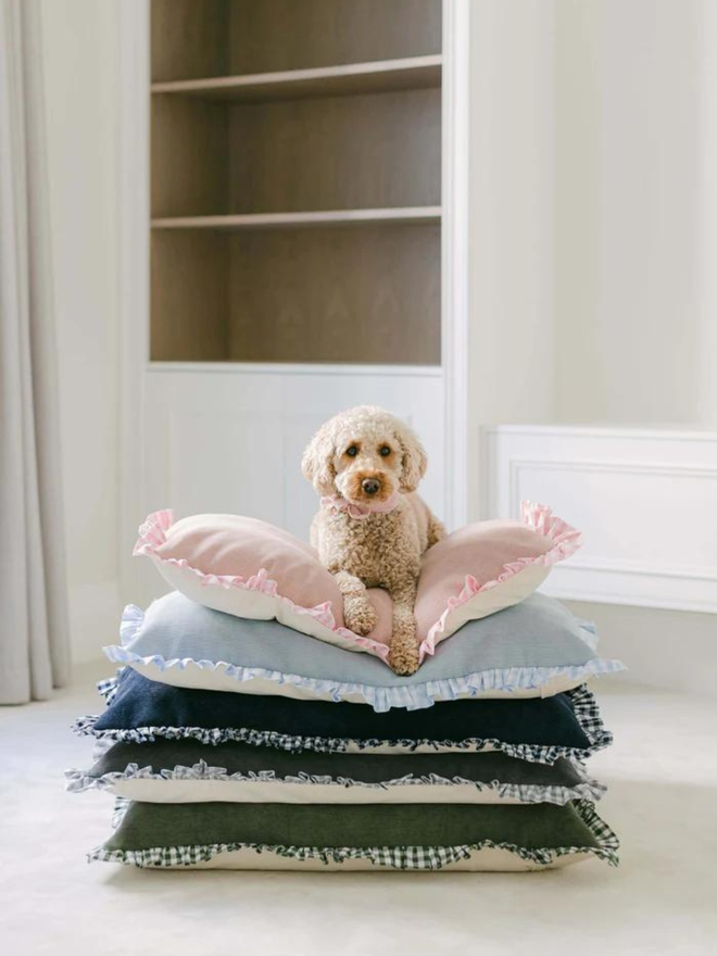 poodle on stack of corduroy gingham handmade pet cushions