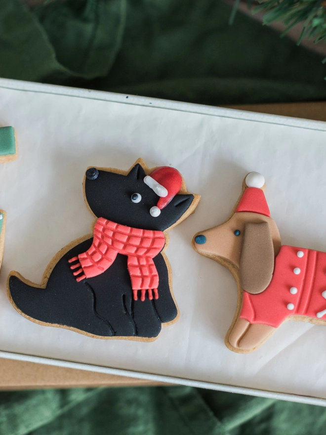 cute biscuit dogs in Christmas outfits