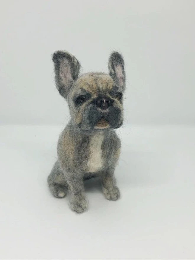 merino wool french bulldog portrait