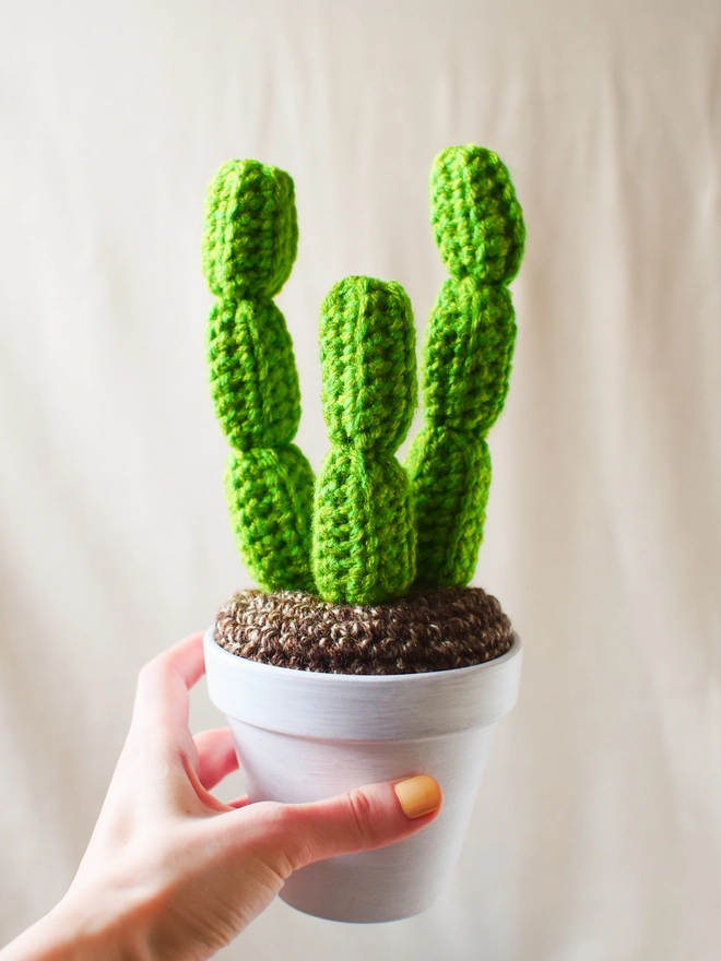 crochet cactus in terracotta pot