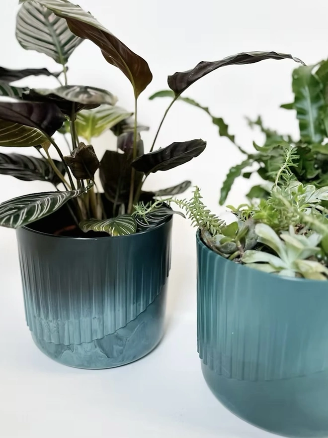 Ocean Plastic Plant Pot Medium, a pair of recycled blue plant pots sitting on a plain surface against a white backdrop. They are accompanied by some plants. 