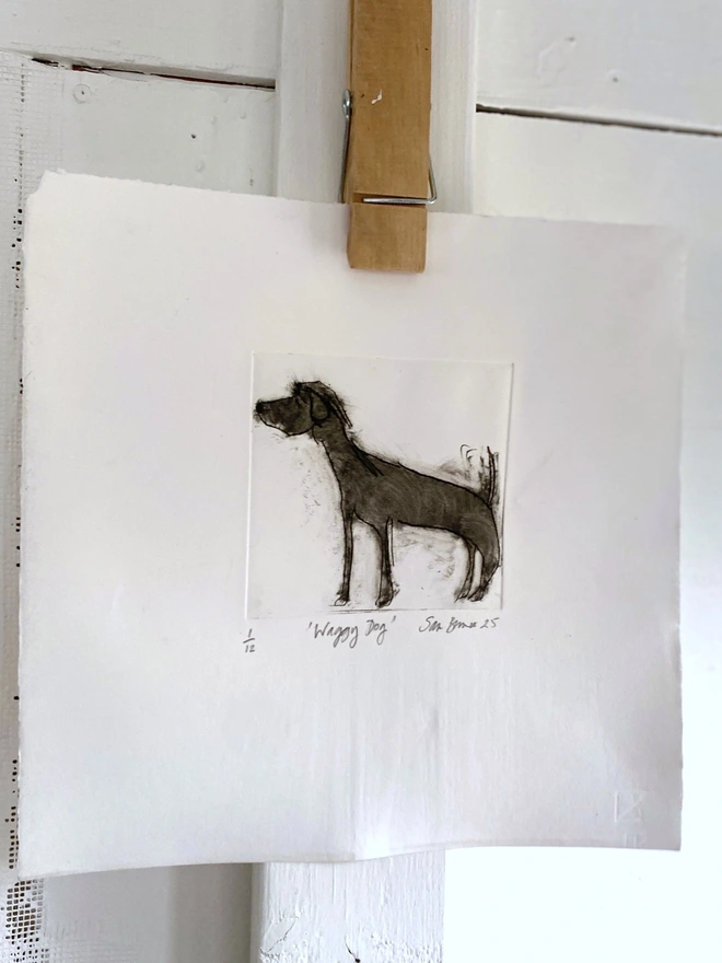 Waggy Dog'. Handmade Drypoint Drawing by Samantha Barnes