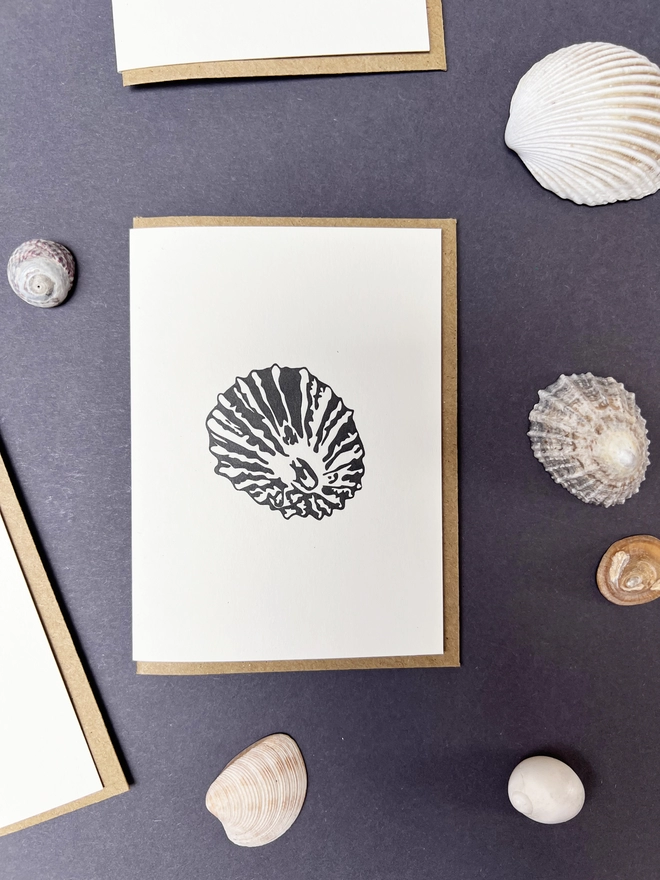 An image of the Limpet shell small card one of the four shells from the seaside treasures collection
