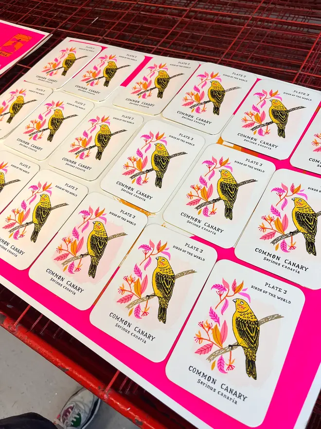 Canary Screenprint On Gold Edge Card, a group of colourful bird designs on white card on a studio rack. 