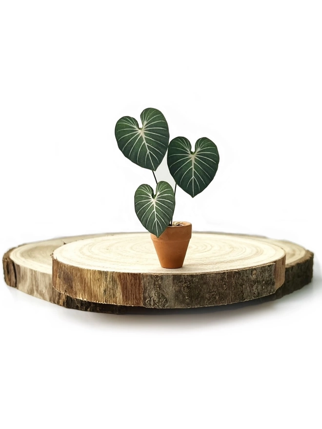 A miniature replica Philodendron Gloriosum paper plant ornament in a terracotta pot sat on 2 wooden log slices against a white background