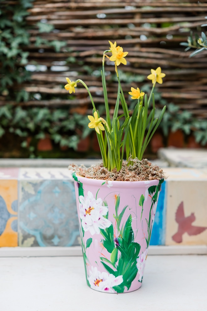 Unique hand-painted terracotta pot featuring pink tree peony on a pale pink background