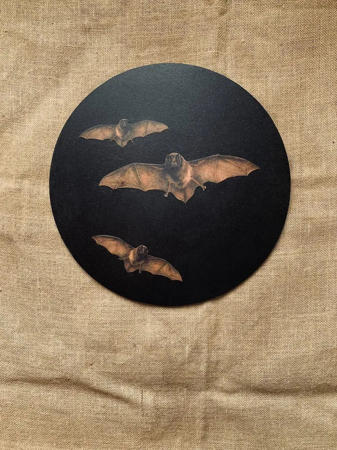 Halloween wall art with bats