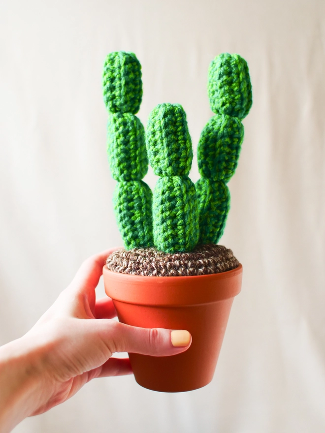 crochet cactus in terracotta pot