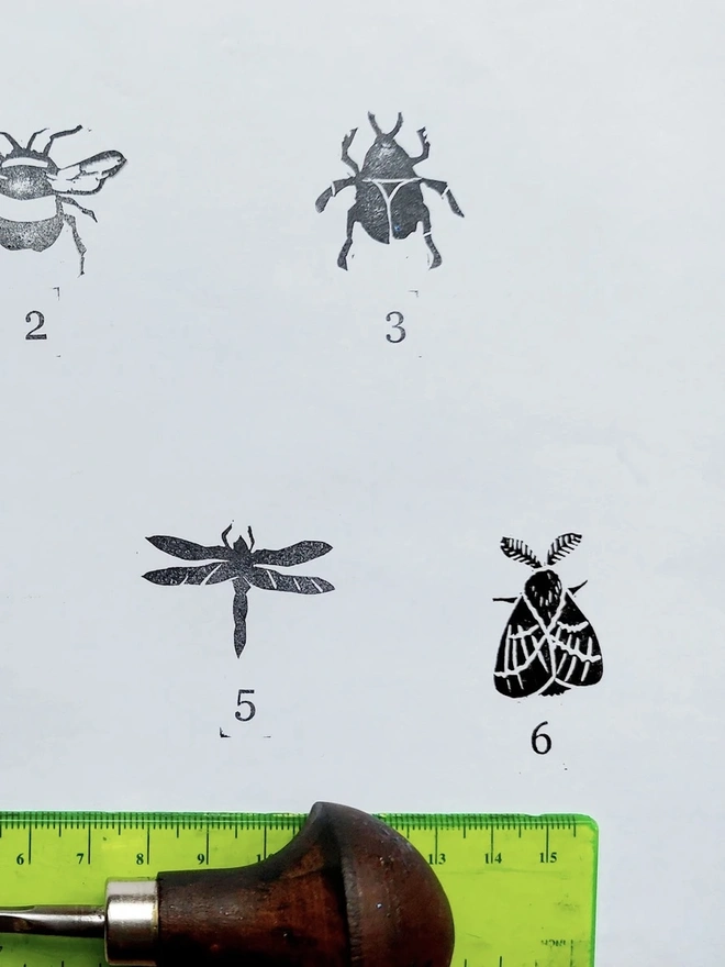 Insect Ink Stamps