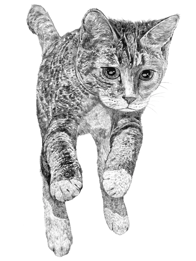 Detail of cat jumping art print