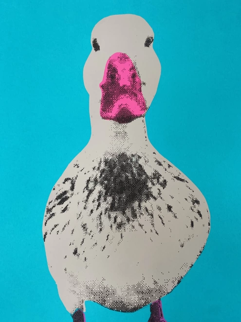 Nice duck print 