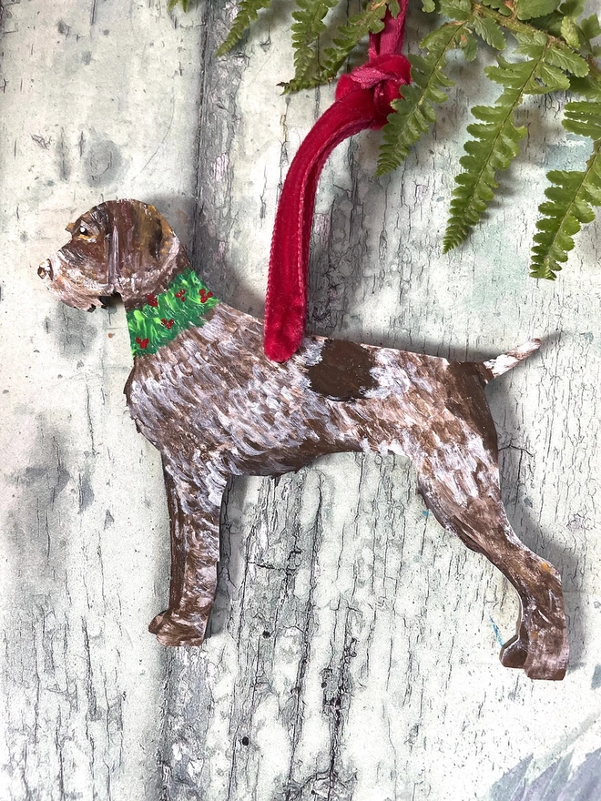 German Wire haired Pointer with holly wreath decoration and red velvet ribbon 