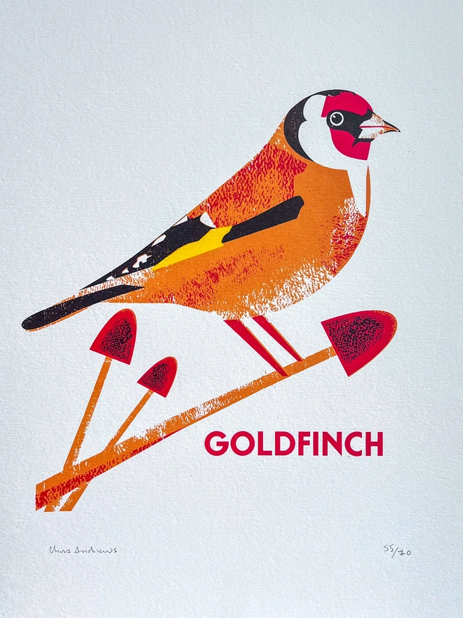 A screenprint of a Bullfinch bird on white paper against a navy blue background.
