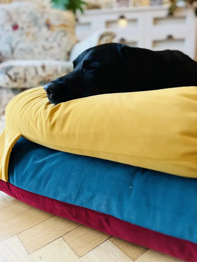 Reversible K-9 Candy Dog Bed