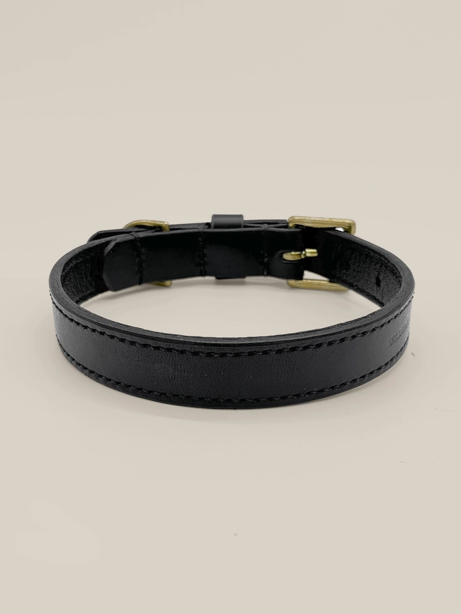 rear view of black leather dog collar