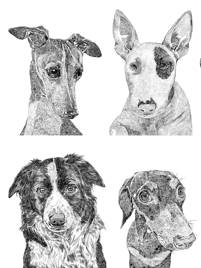 Detail of dogs portraits in dog collection art print