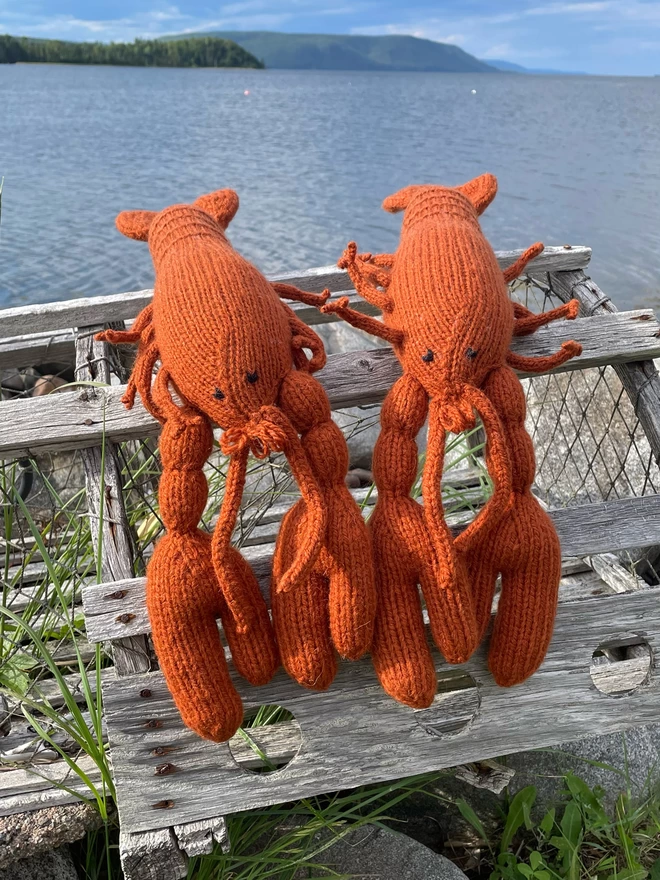 Knitted toy lobsters on a lobster trap