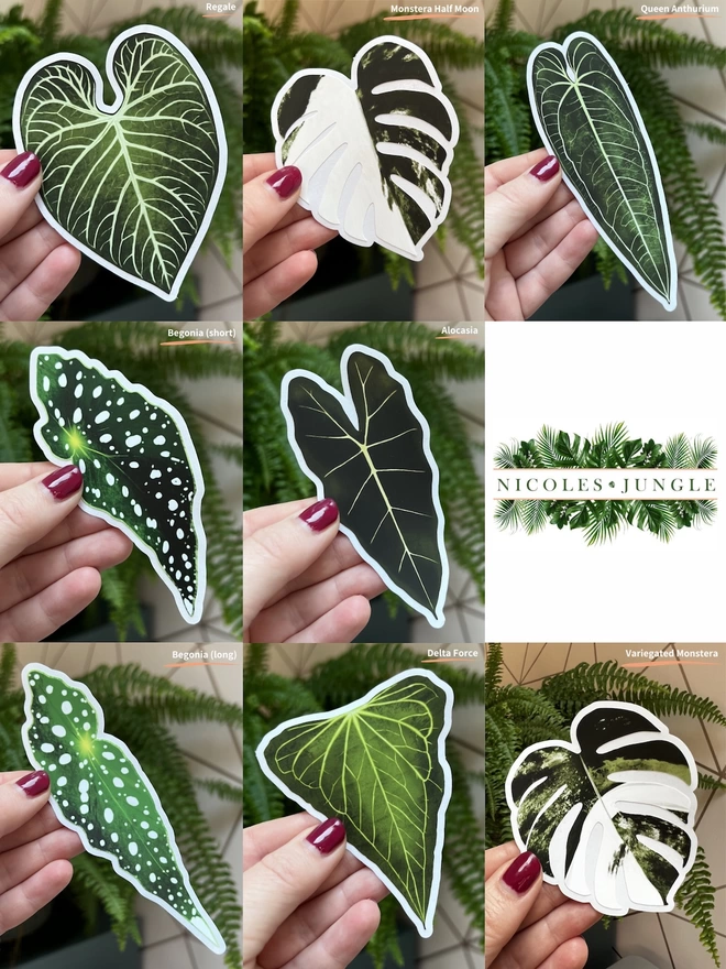 A compilation picture of 8 different houseplant leaf stickers on a white vinyl backing held up against a backdrop of a fern and pink wall with the name of each sticker in the top right corner of each image. Also featuring the Nicole's Jungle logo.