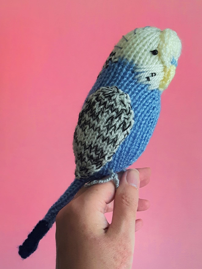 budgie knit kit for pet lovers