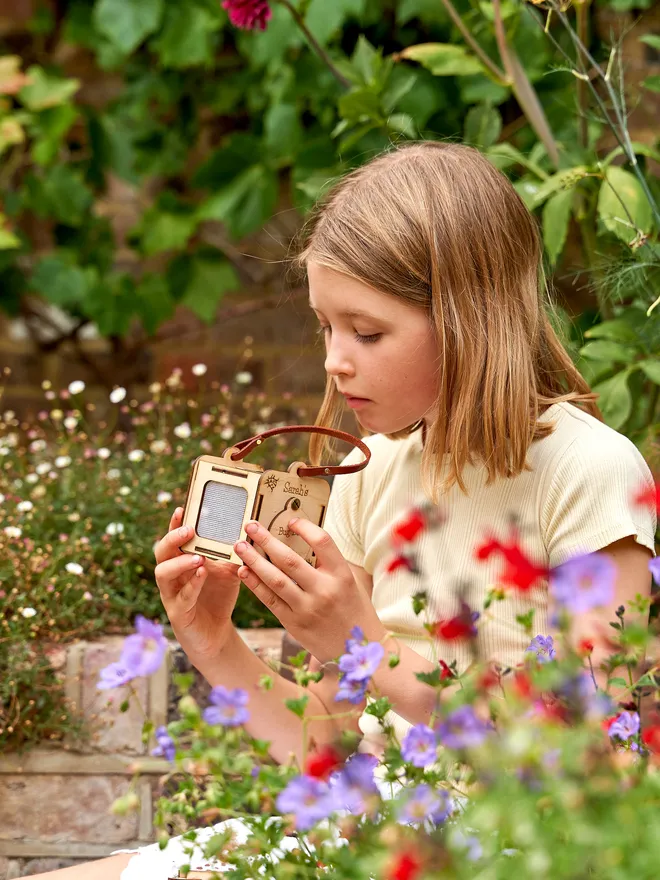 Personalised birch plywood observation box with a viewing panel at the top