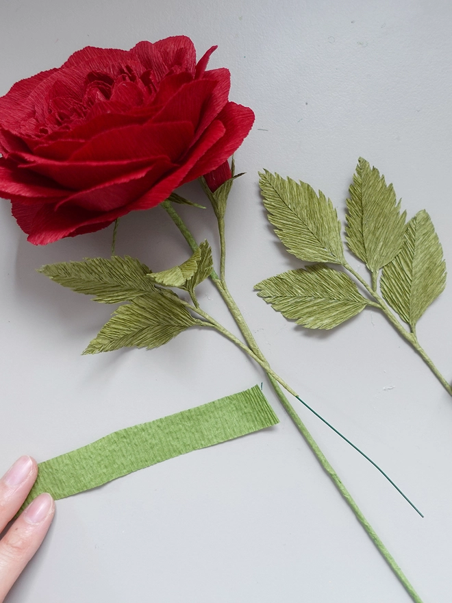 Crepe Paper Falstaff Rose DIY Kit