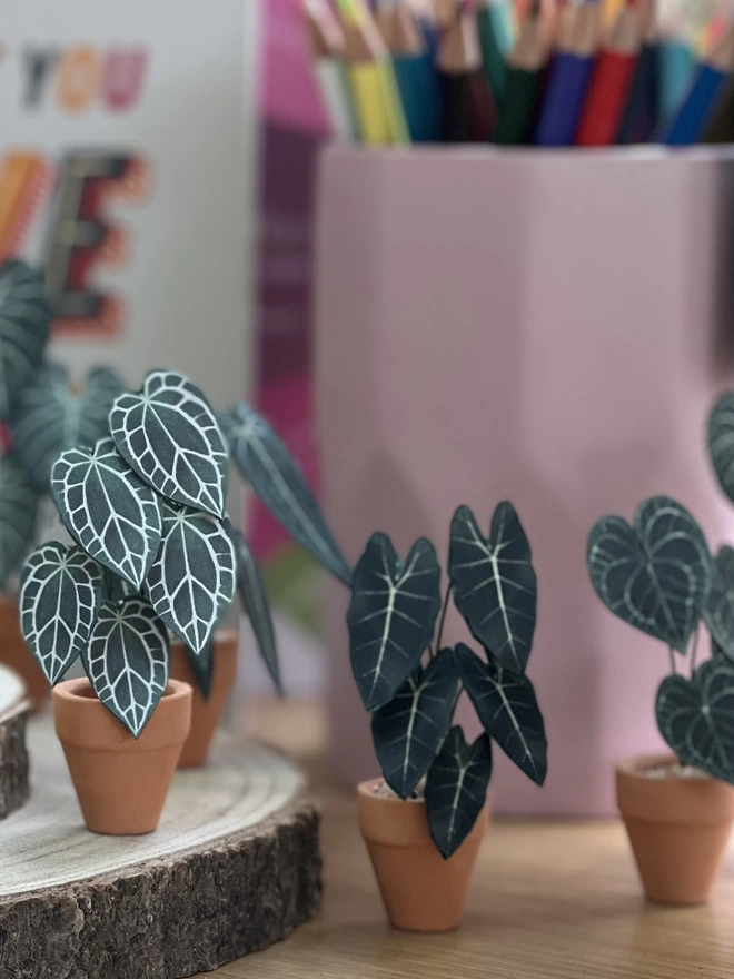 A miniature replica paper Alocasia Frydek with 2 other paper plants either side against a background of a book and pink pencil pot