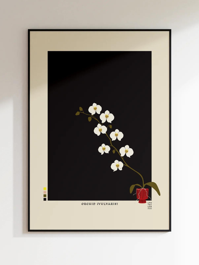 orchid Giclee print