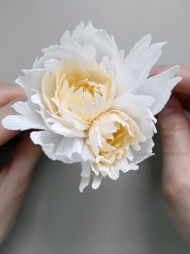 Crepe Paper Double Peony DIY Kit