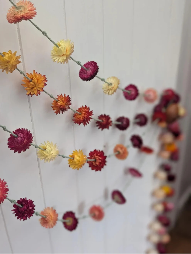 rainbow dried flower garland. yellow, pink and orange dried flower garland hung against white wall.