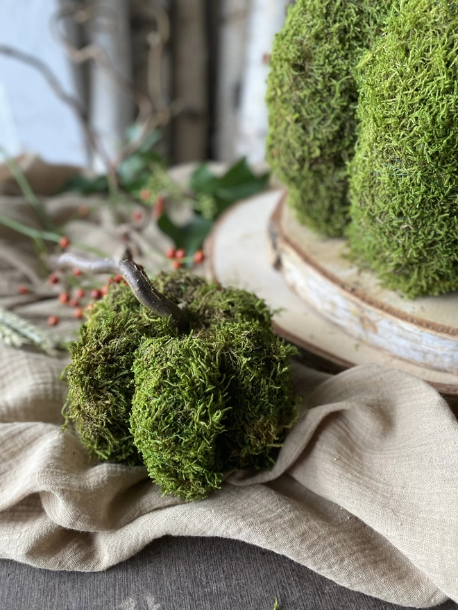 A closer look at the smaller Hand Formed Dried Moss Pumpkin with Corylus Stalk, on display with sprigs of red berries, atop soft ruffled cloth