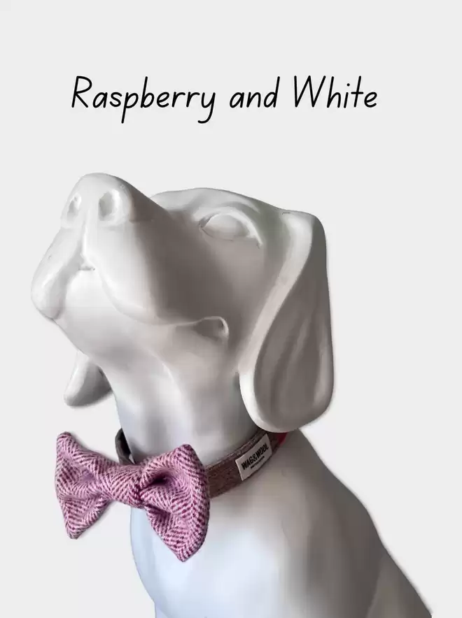 raspberry and white dog bow tie 
