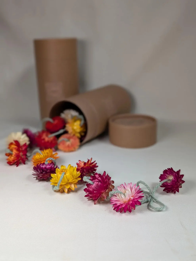 rainbow dried flower garland. yellow, pink and orange dried flower garland laid out on white surface.