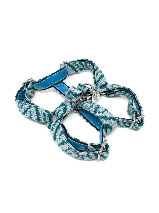 blue dog harness laying on floor with white background