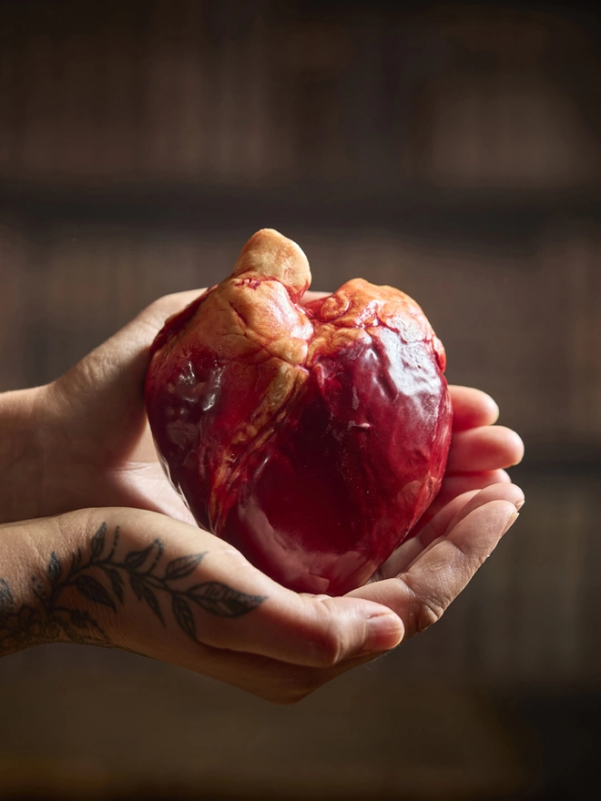 Realistic milk chocolate human heart held in woman's hands