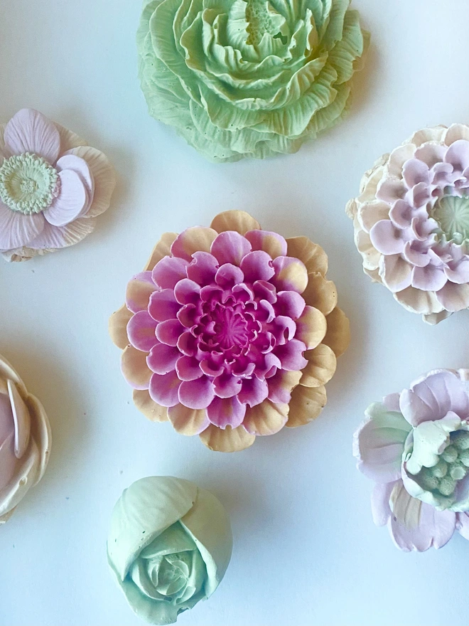 Concrete Wall Flowers